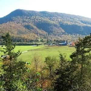 Meet your Posher, Terri